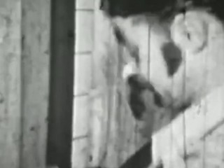 Glamorous Freak Asa Akira Is Longing For A Powerful Sexing